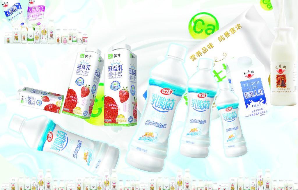 乳酸菌 小小微生物，守護大健康——日用百貨中的健康衛士