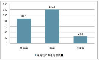 2019-2025年中國純電動汽車市場調(diào)查與投資戰(zhàn)略分析報告