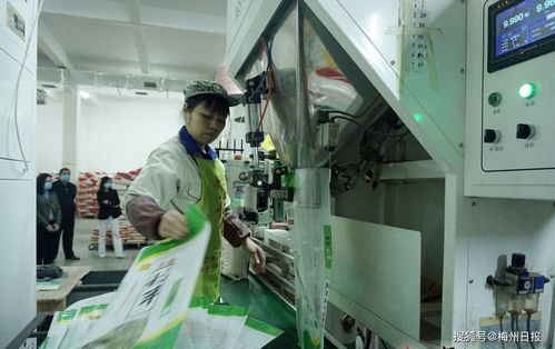 在梅州過年，肉菜管夠——春節期間梅州農產品供給保障穩穩的